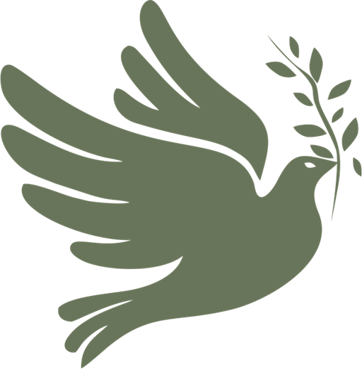 Extra Vierge Olijfolie - GIl Luna & Olivarera - Manzanila Aloreña