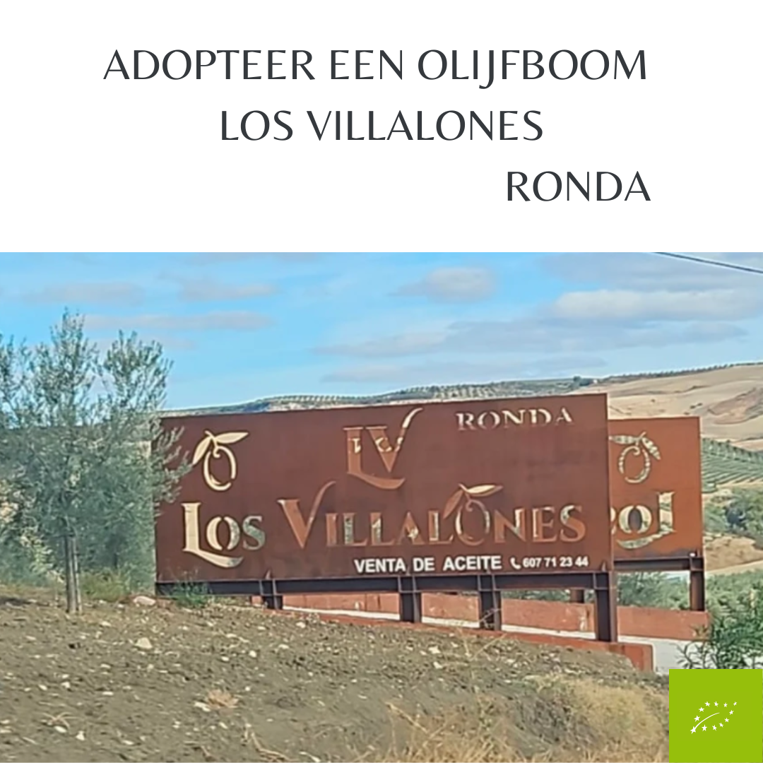 Adoptie olijfboom Los Villalones incl. Biologische Extra Vierge Arbequina Olijfolie
